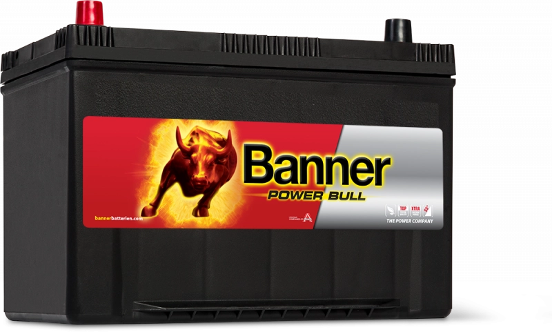 Baterie Power Bull  ASIA 95 AH 12 V (+STG)