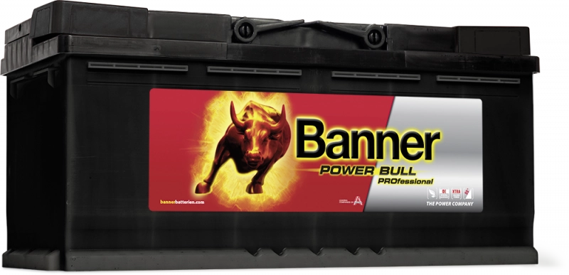 Baterie Power Bull PROfessional 110 AH  12 V